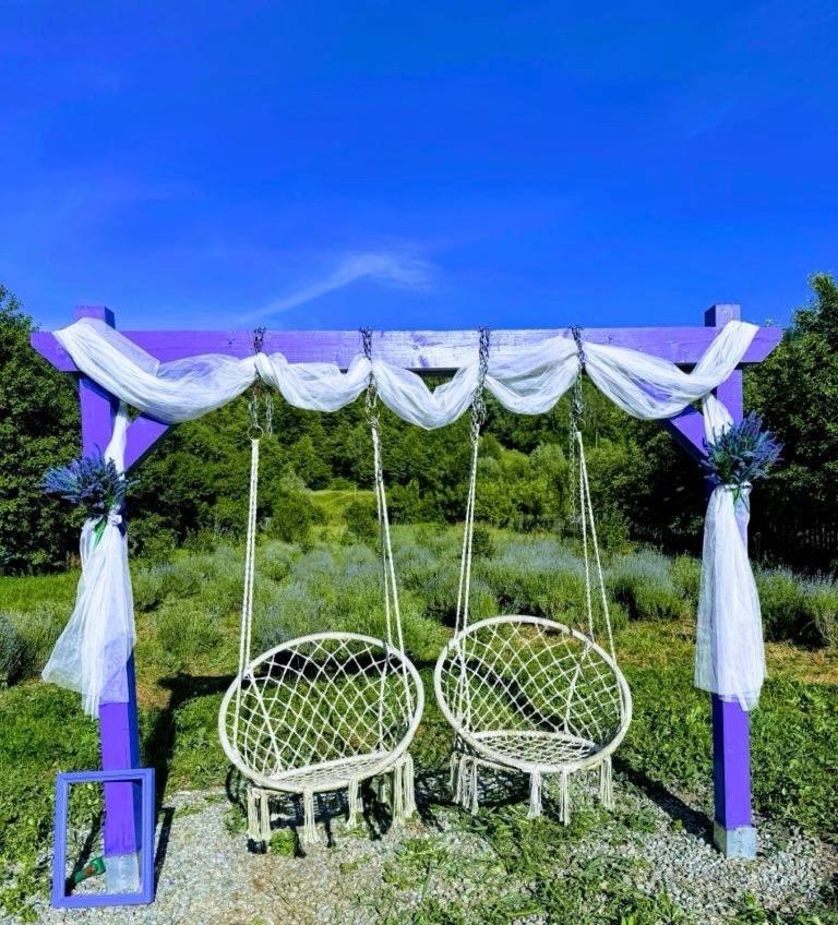 Casa Cu Lavanda * Petroşani
